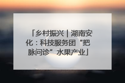 乡村振兴｜湖南安化：科技服务团“把脉问诊”水果产业