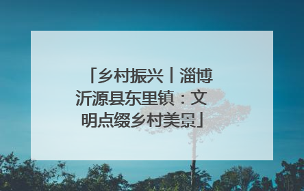 乡村振兴︱淄博沂源县东里镇：文明点缀乡村美景