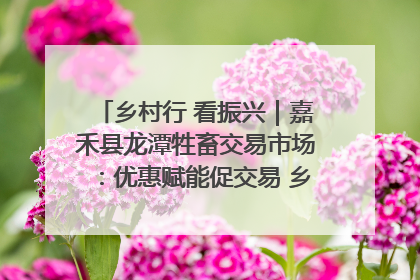 乡村行 看振兴｜嘉禾县龙潭牲畜交易市场：优惠赋能促交易 乡村振兴添动能
