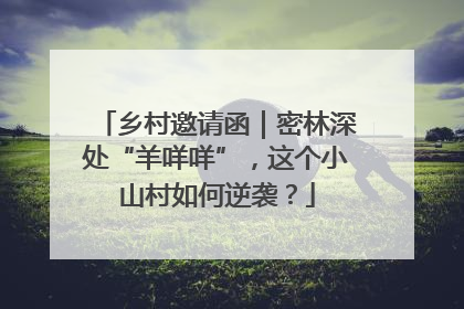 乡村邀请函｜密林深处“羊咩咩”，这个小山村如何逆袭？