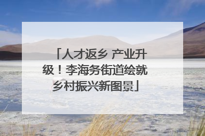 人才返乡 产业升级！李海务街道绘就乡村振兴新图景