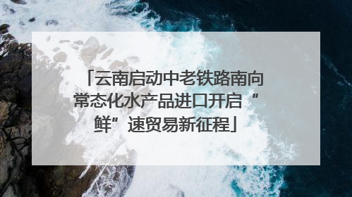 云南启动中老铁路南向常态化水产品进口开启“鲜”速贸易新征程