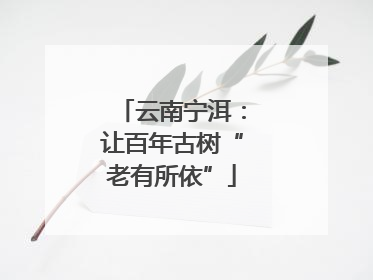 云南宁洱：让百年古树“老有所依”