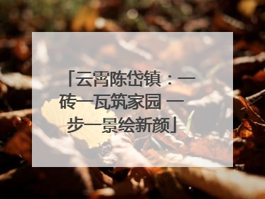 云霄陈岱镇：一砖一瓦筑家园 一步一景绘新颜