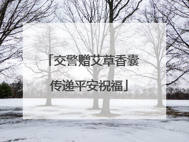 交警赠艾草香囊 传递平安祝福