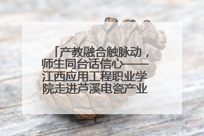 产教融合触脉动，师生同台话信心——江西应用工程职业学院走进芦溪电瓷产业园创新思政课堂