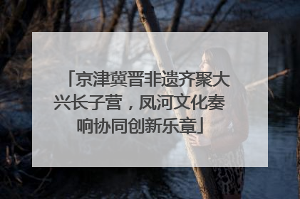 京津冀晋非遗齐聚大兴长子营，凤河文化奏响协同创新乐章