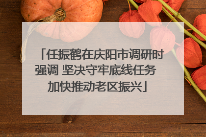 任振鹤在庆阳市调研时强调 坚决守牢底线任务 加快推动老区振兴