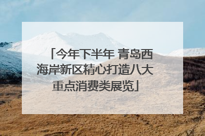 今年下半年 青岛西海岸新区精心打造八大重点消费类展览