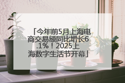 今年前5月上海电商交易额同比增长6.1%！2025上海数字生活节开幕