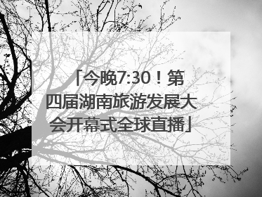 今晚7:30！第四届湖南旅游发展大会开幕式全球直播