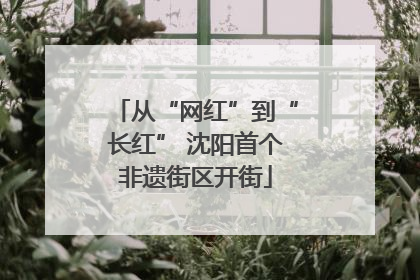 从“网红”到“长红” 沈阳首个非遗街区开街