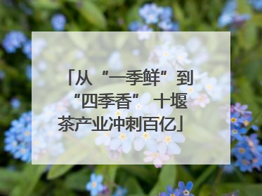 从“一季鲜”到“四季香” 十堰茶产业冲刺百亿