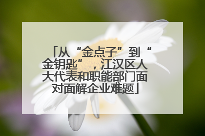 从“金点子”到“金钥匙”，江汉区人大代表和职能部门面对面解企业难题