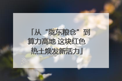 从“陇东粮仓”到算力高地 这块红色热土焕发新活力