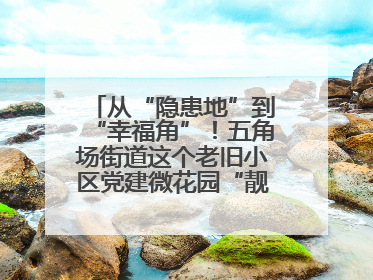 从“隐患地”到“幸福角”！五角场街道这个老旧小区党建微花园“靓”出幸福新图景