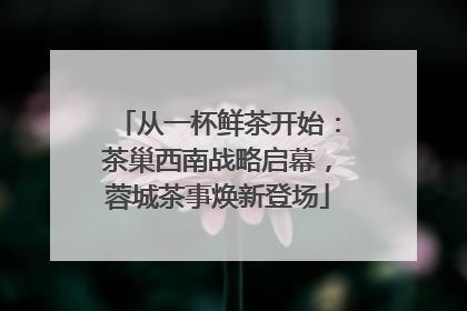 从一杯鲜茶开始：茶巢西南战略启幕，蓉城茶事焕新登场