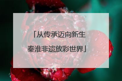 从传承迈向新生 秦淮非遗放彩世界