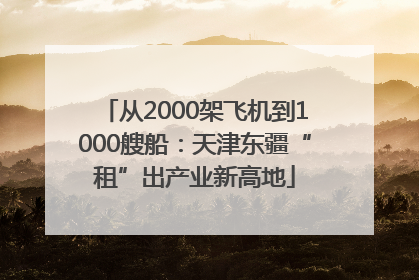 从2000架飞机到1000艘船：天津东疆“租”出产业新高地