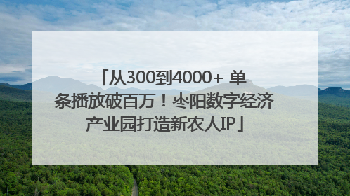 从300到4000+ 单条播放破百万！枣阳数字经济产业园打造新农人IP