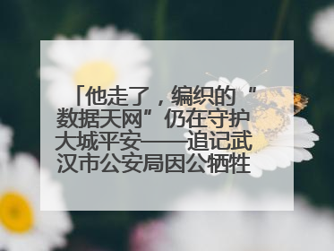 他走了，编织的“数据天网”仍在守护大城平安——追记武汉市公安局因公牺牲民警万松