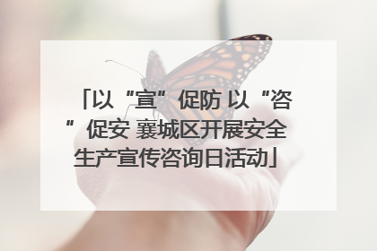 以“宣”促防 以“咨”促安 襄城区开展安全生产宣传咨询日活动