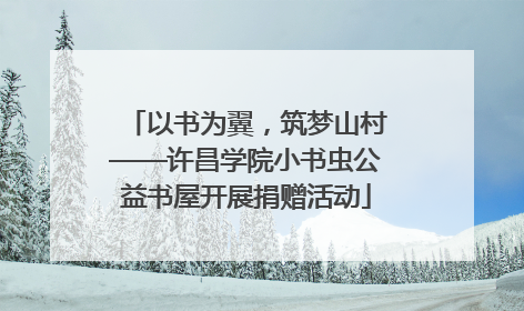 以书为翼，筑梦山村——许昌学院小书虫公益书屋开展捐赠活动