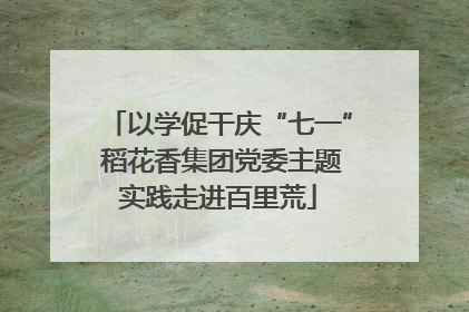 以学促干庆“七一” 稻花香集团党委主题实践走进百里荒