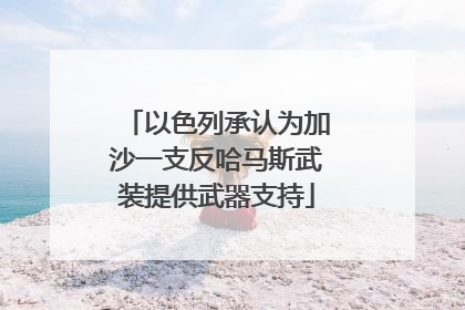 以色列承认为加沙一支反哈马斯武装提供武器支持