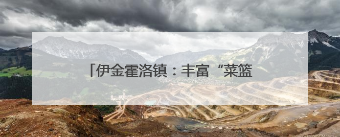 伊金霍洛镇：丰富“菜篮子”，充实“钱袋子”