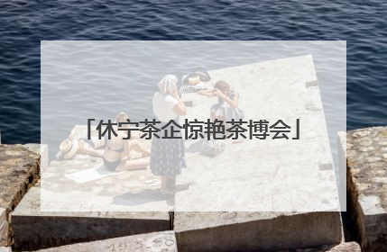 休宁茶企惊艳茶博会