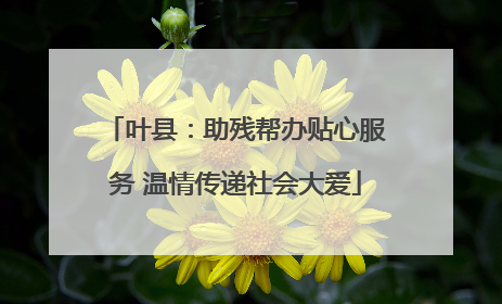 叶县：助残帮办贴心服务 温情传递社会大爱