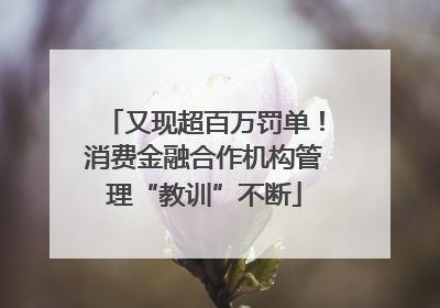又现超百万罚单！消费金融合作机构管理“教训”不断