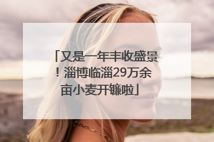 又是一年丰收盛景！淄博临淄29万余亩小麦开镰啦