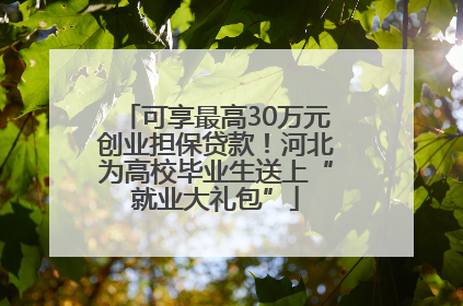 可享最高30万元创业担保贷款！河北为高校毕业生送上“就业大礼包”