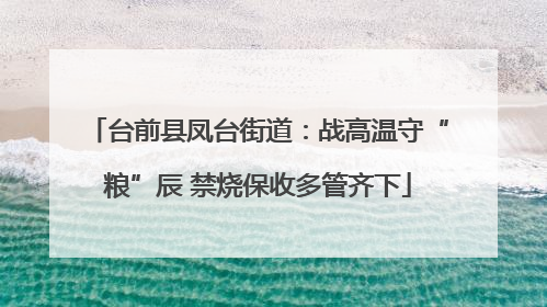 台前县凤台街道：战高温守“粮”辰 禁烧保收多管齐下