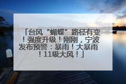 台风“蝴蝶”路径有变！强度升级！刚刚，宁波发布预警：暴雨！大暴雨！11级大风！