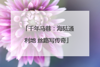 千年马巷：海陆通利地 丝路写传奇