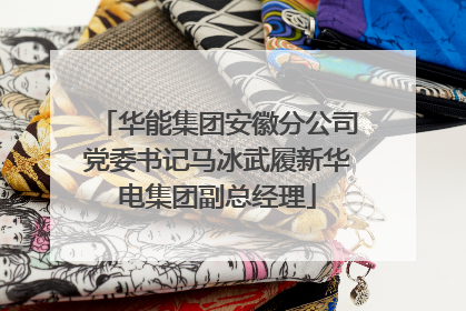 华能集团安徽分公司党委书记马冰武履新华电集团副总经理