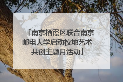 南京栖霞区联合南京邮电大学启动校地艺术共创主题月活动