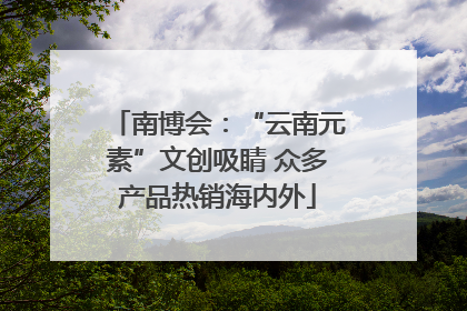 南博会：“云南元素”文创吸睛 众多产品热销海内外