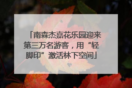 南森杰嘉花乐园迎来第三万名游客，用“轻脚印”激活林下空间