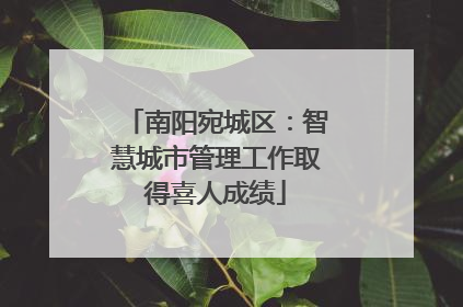 南阳宛城区：智慧城市管理工作取得喜人成绩