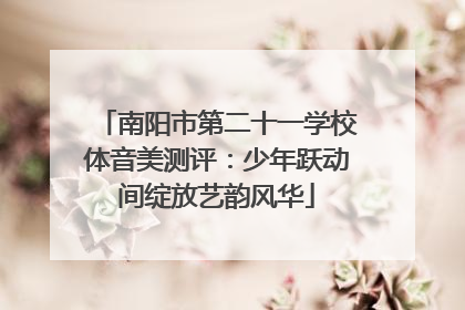 南阳市第二十一学校体音美测评：少年跃动间绽放艺韵风华