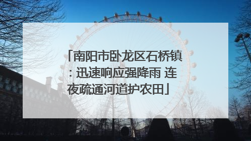 南阳市卧龙区石桥镇：迅速响应强降雨 连夜疏通河道护农田