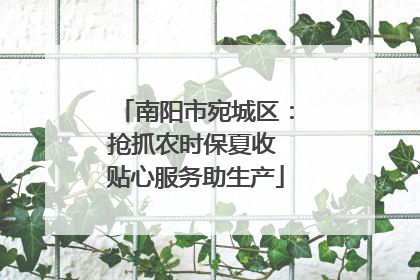 南阳市宛城区：抢抓农时保夏收 贴心服务助生产