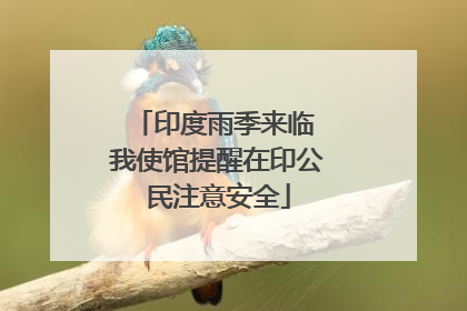 印度雨季来临 我使馆提醒在印公民注意安全