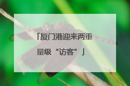 厦门港迎来两重量级“访客”