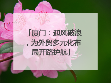 厦门：迎风破浪，为外贸多元化布局开路护航