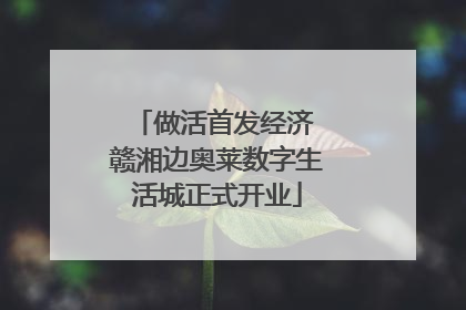 做活首发经济 赣湘边奥莱数字生活城正式开业